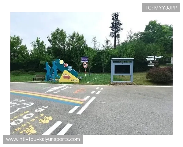 数字化远程运动指导系统在社区体育普及的作用